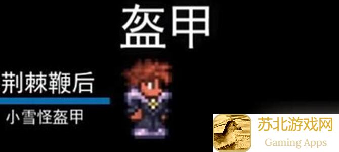 泰拉瑞亚新手肉前的极好配饰:泰拉之焰靴,如何搭配才能战力飙升?
