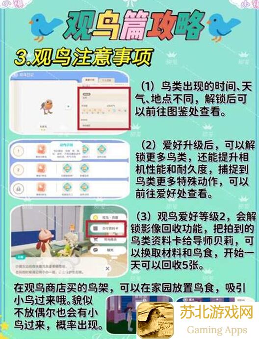看完这篇攻略,你就能轻松成为心动小镇的观鸟大师,快速赚钱!