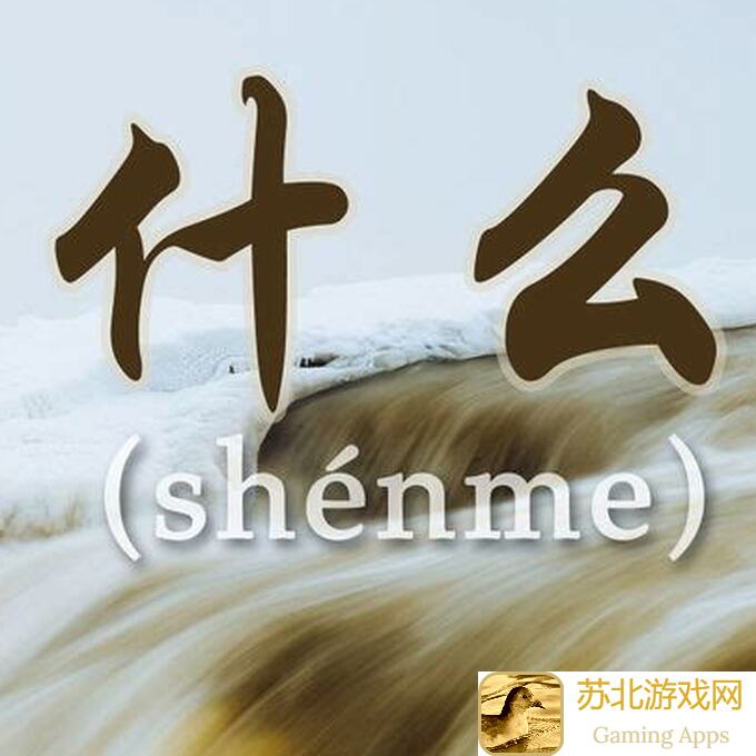 什么
