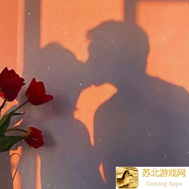 女神异闻录：夜幕魅影萌新入坑最佳攻略！抽卡配队全解析