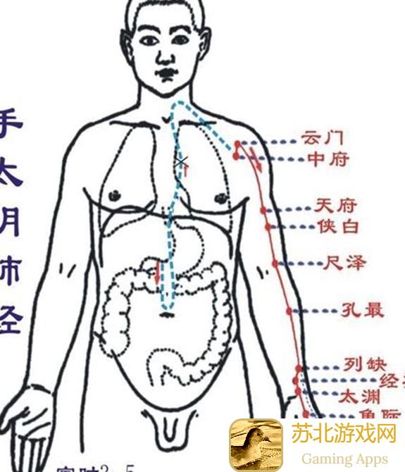 手把手教你航海王：梦想指针开服少走弯路，轻松少走10天！
