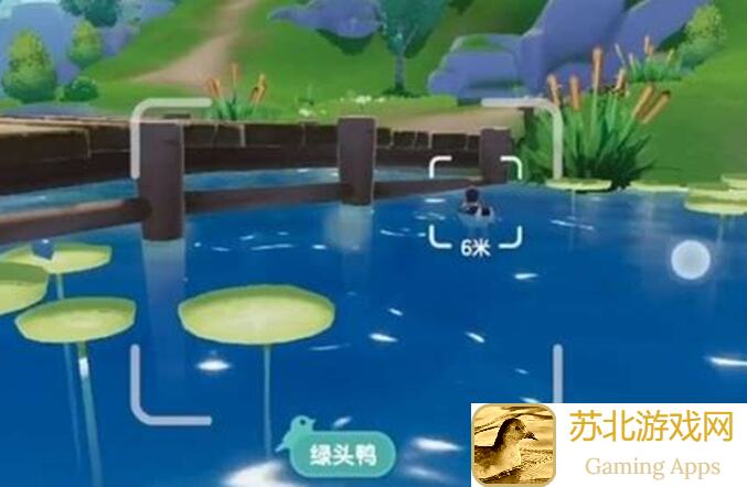 心动小镇观鸟爱好全图鉴解锁秘籍抢先看！