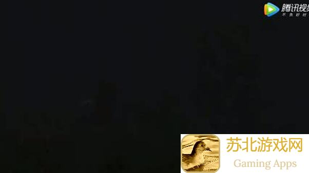 西游记：打造你的专属孔雀宠物，轻松成为笔绘大师！