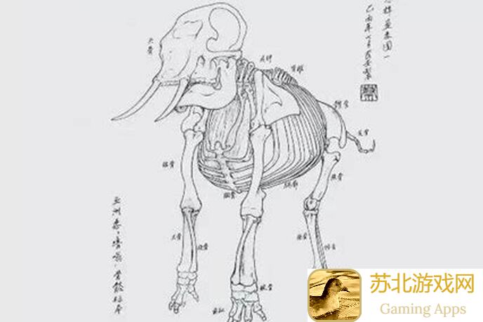 大象西行记之新手入门：学习这些开荒小技巧，轻松通关不 crumbling